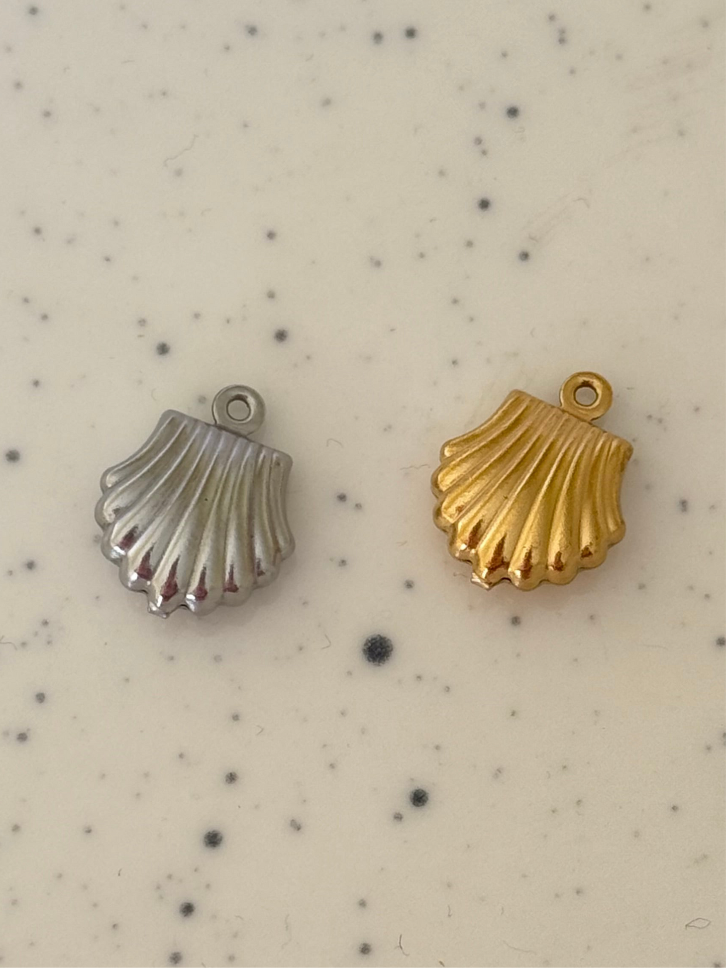 Small Shell Charms