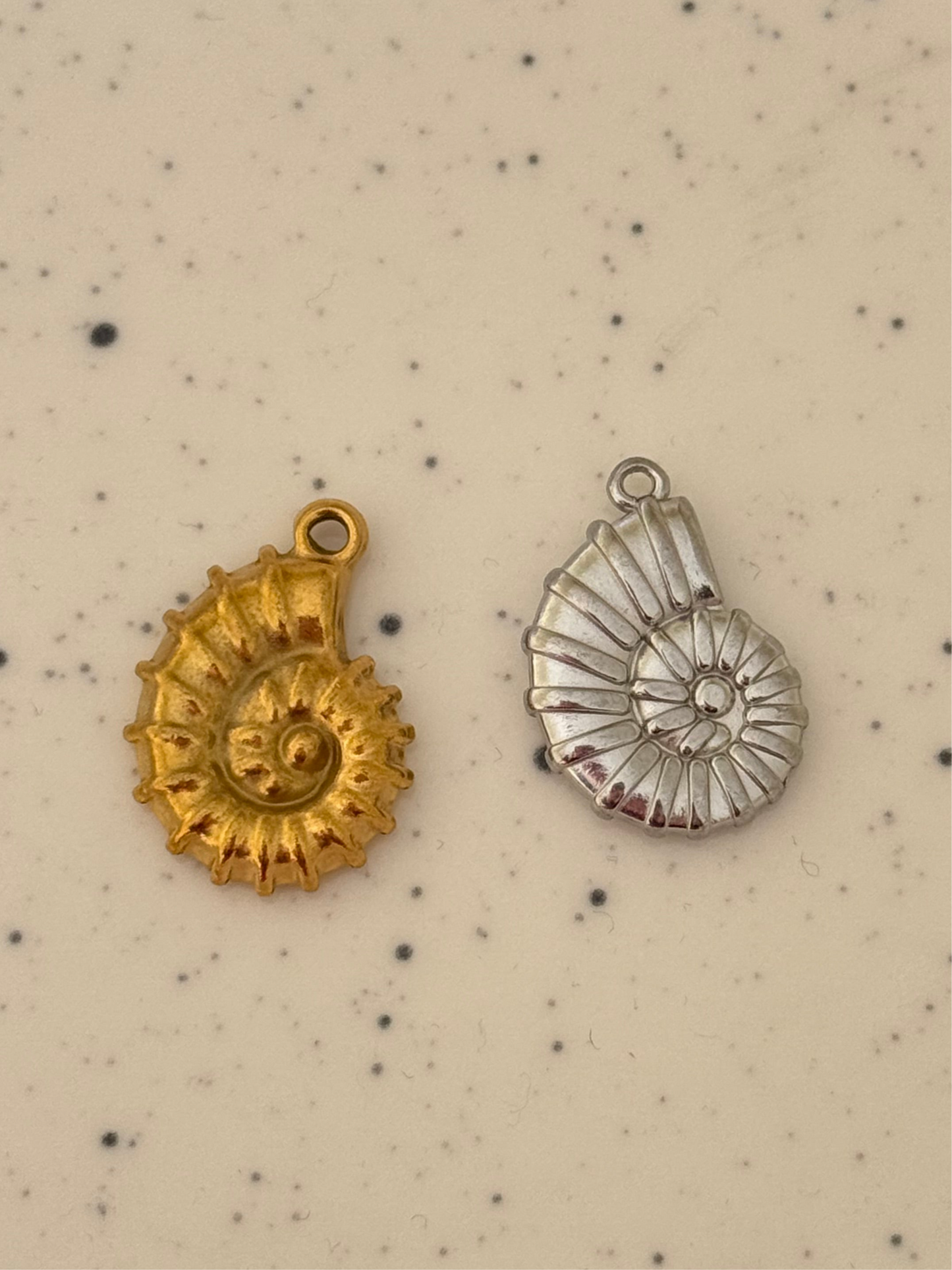 Ammonite Charm