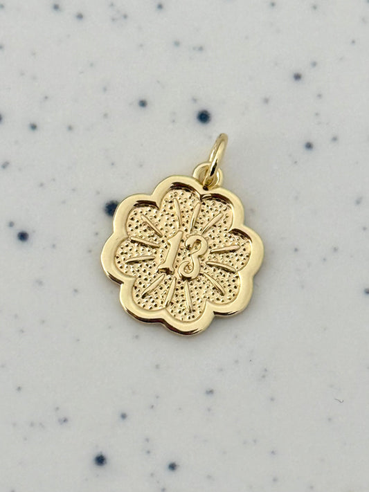 Lucky 13 Clover Charm